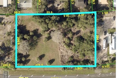 Land in Palmetto, Florida № 1688155 - photo 1