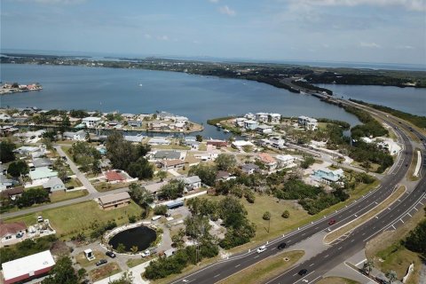 Land in Palmetto, Florida № 1688155 - photo 14