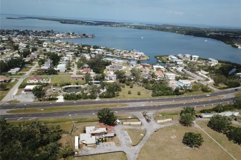 Land in Palmetto, Florida № 1688155 - photo 18