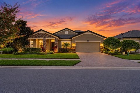 Villa ou maison à Lutz, Floride 5 chambres, 310.01 m2 № 2403051