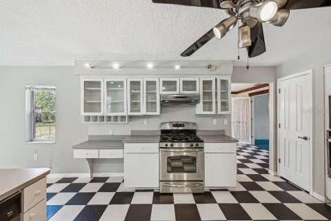 Villa ou maison à vendre à Spring Hill, Floride: 4 chambres, 343.74 m2 № 1771548 - photo 14