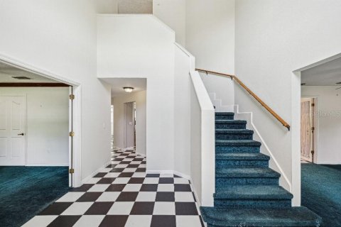 Villa ou maison à vendre à Spring Hill, Floride: 4 chambres, 343.74 m2 № 1771548 - photo 6