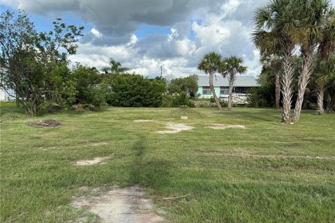 Land in Punta Gorda, Florida № 1913723 - photo 4