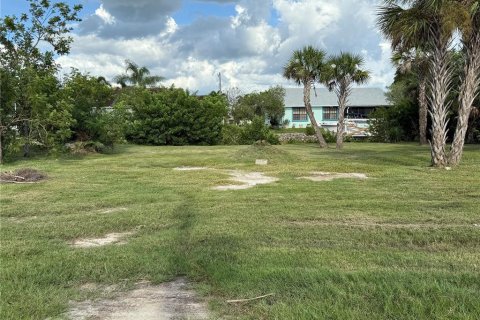 Land in Punta Gorda, Florida № 1913723 - photo 5