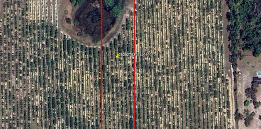 Land in Lake Wales, Florida № 1767449