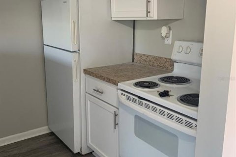 Condominio en alquiler en Tampa, Florida, 1 dormitorio, 51.28 m2 № 1857835 - foto 12