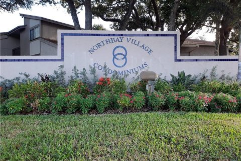 Condominio en alquiler en Tampa, Florida, 1 dormitorio, 51.28 m2 № 1857835 - foto 1
