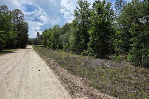 Terrain à Bronson, Floride № 2112124