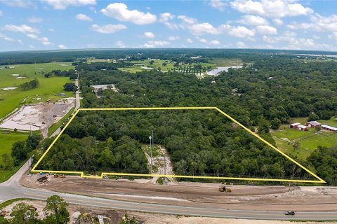 Land in De Leon Springs, Florida № 1312344 - photo 4