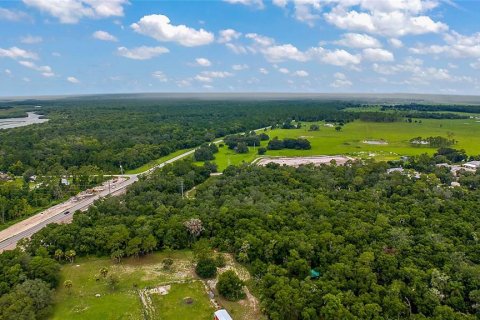 Land in De Leon Springs, Florida № 1312344 - photo 8