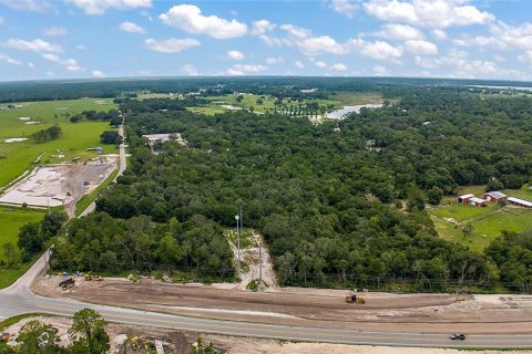 Land in De Leon Springs, Florida № 1312344 - photo 5