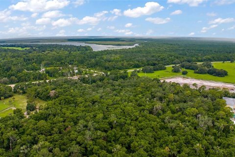 Land in De Leon Springs, Florida № 1312344 - photo 9