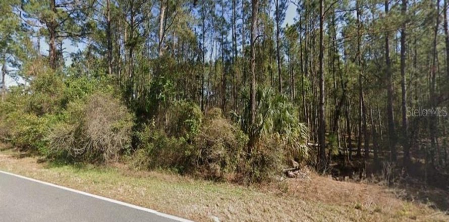 Terreno en Eustis, Florida № 1765120