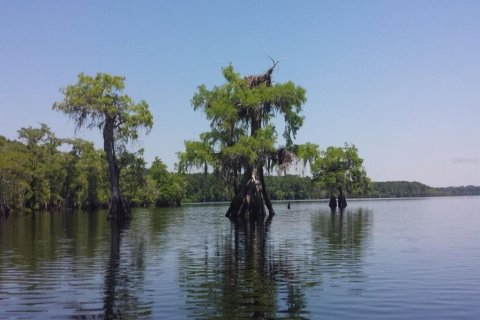 Terreno en venta en Eustis, Florida № 1765120 - foto 3