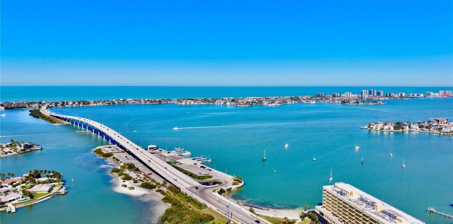 Condo in Belleair Bluffs, Florida, 2 bedrooms  № 1783248