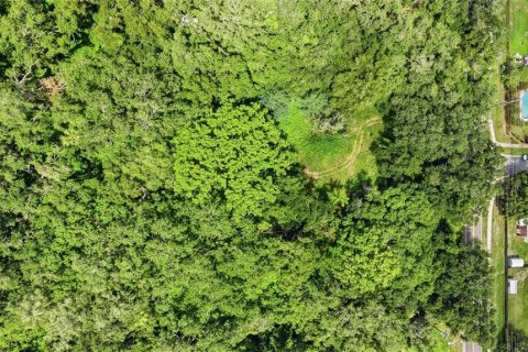 Land in Seffner, Florida № 2209534 - photo 7