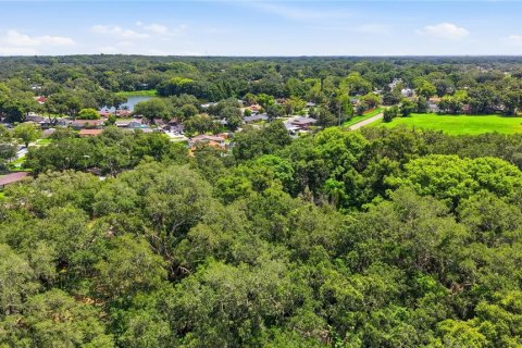Land in Seffner, Florida № 2209534 - photo 20