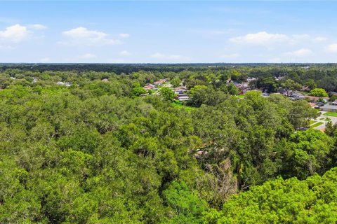 Land in Seffner, Florida № 2209534 - photo 14