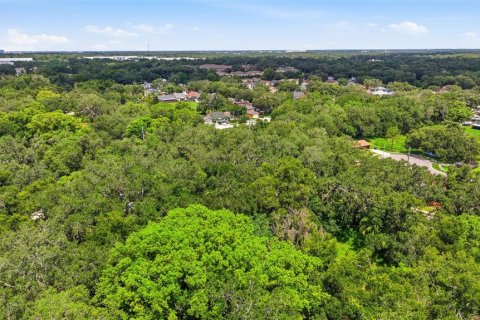 Land in Seffner, Florida № 2209534 - photo 4