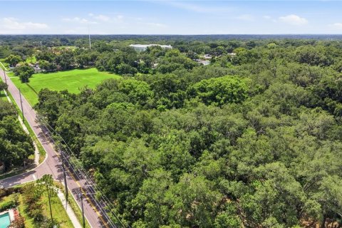 Land in Seffner, Florida № 2209534 - photo 18