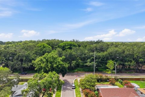 Land in Seffner, Florida № 2209534 - photo 12