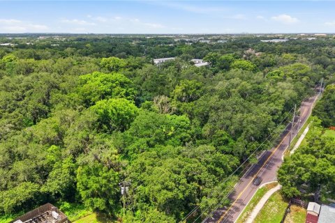 Land in Seffner, Florida № 2209534 - photo 16