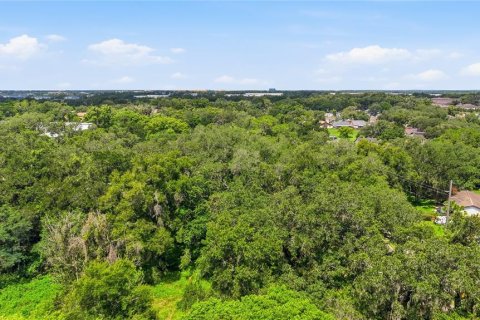 Land in Seffner, Florida № 2209534 - photo 15