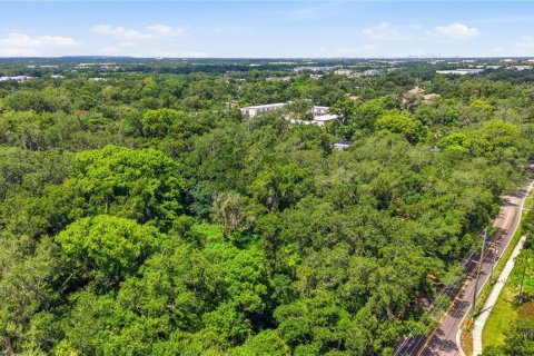 Land in Seffner, Florida № 2209534 - photo 6