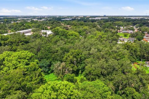 Land in Seffner, Florida № 2209534 - photo 5