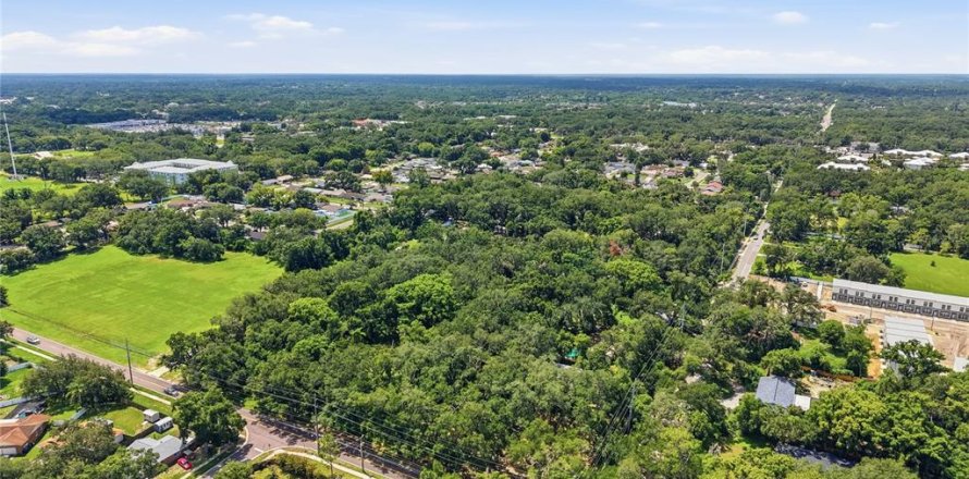 Land in Seffner, Florida № 2209534