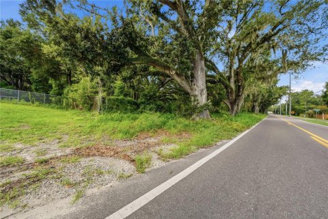 Land in Seffner, Florida № 2209534 - photo 23
