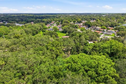 Land in Seffner, Florida № 2209534 - photo 3