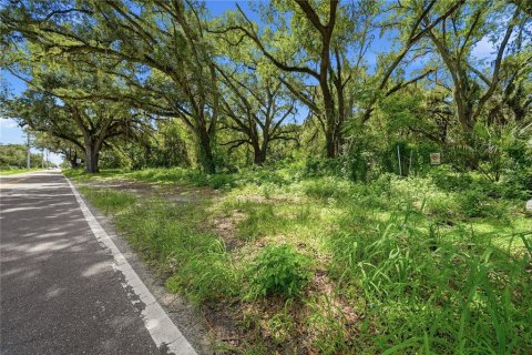 Land in Seffner, Florida № 2209534 - photo 21