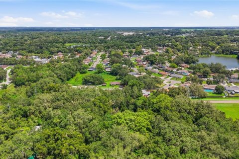 Land in Seffner, Florida № 2209534 - photo 11