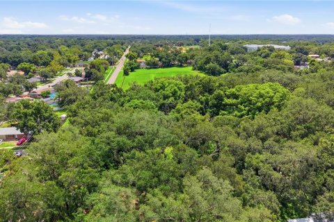 Land in Seffner, Florida № 2209534 - photo 19