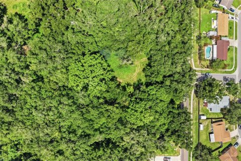 Land in Seffner, Florida № 2209534 - photo 8