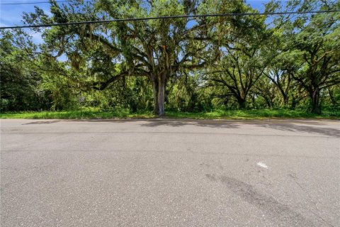Land in Seffner, Florida № 2209534 - photo 22