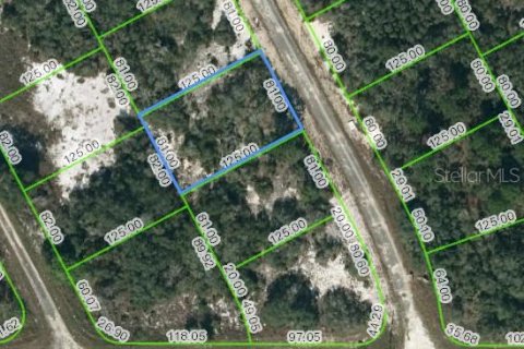 Land in Lake Placid, Florida № 2223942