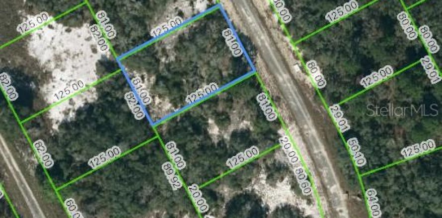 Land in Lake Placid, Florida № 2223942