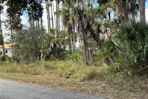 Land in Port Charlotte, Florida № 2160134 - photo 5