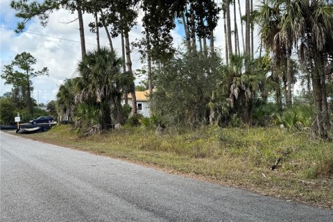 Land in Port Charlotte, Florida № 2160134 - photo 8