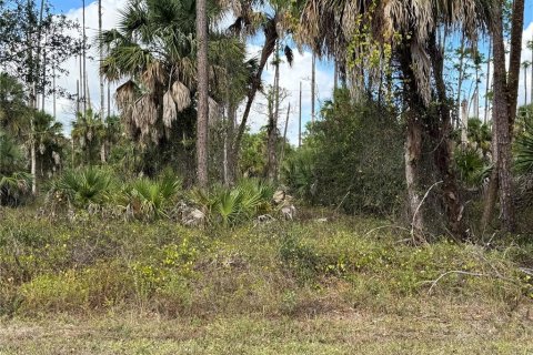Land in Port Charlotte, Florida № 2160134 - photo 3
