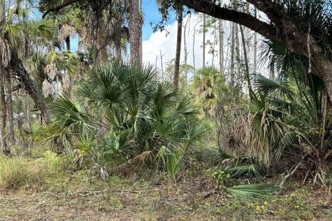 Land in Port Charlotte, Florida № 2160134 - photo 4