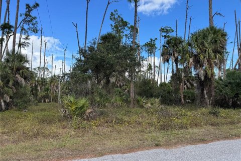 Land in Port Charlotte, Florida № 2160134