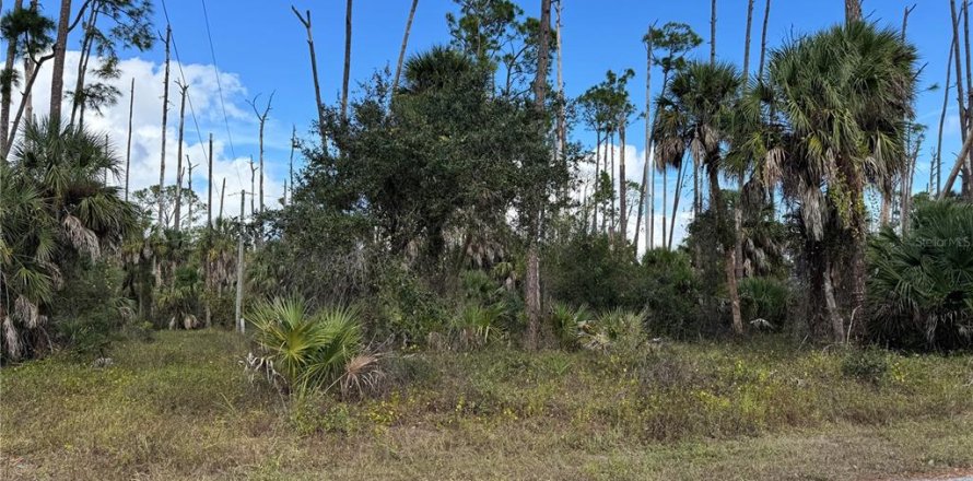 Land in Port Charlotte, Florida № 2160134