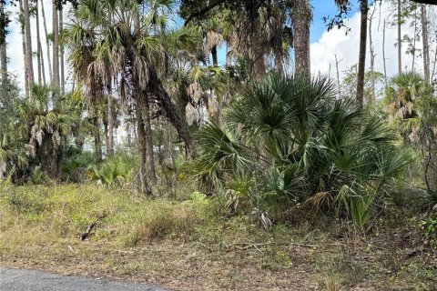Land in Port Charlotte, Florida № 2160134 - photo 7