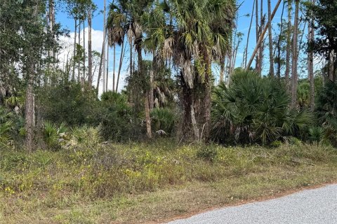 Land in Port Charlotte, Florida № 2160134 - photo 2