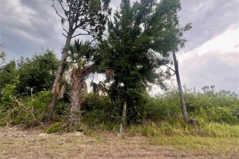 Terreno en venta en Port Charlotte, Florida № 1742542 - foto 1