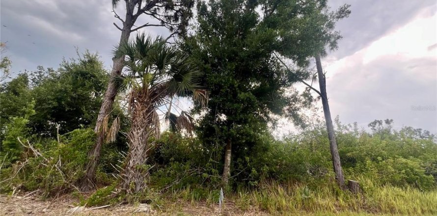 Terreno en Port Charlotte, Florida № 1742542