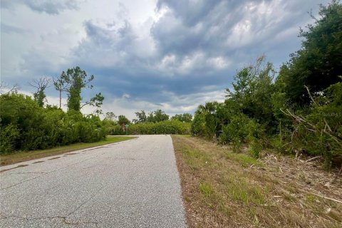 Terreno en venta en Port Charlotte, Florida № 1742542 - foto 3